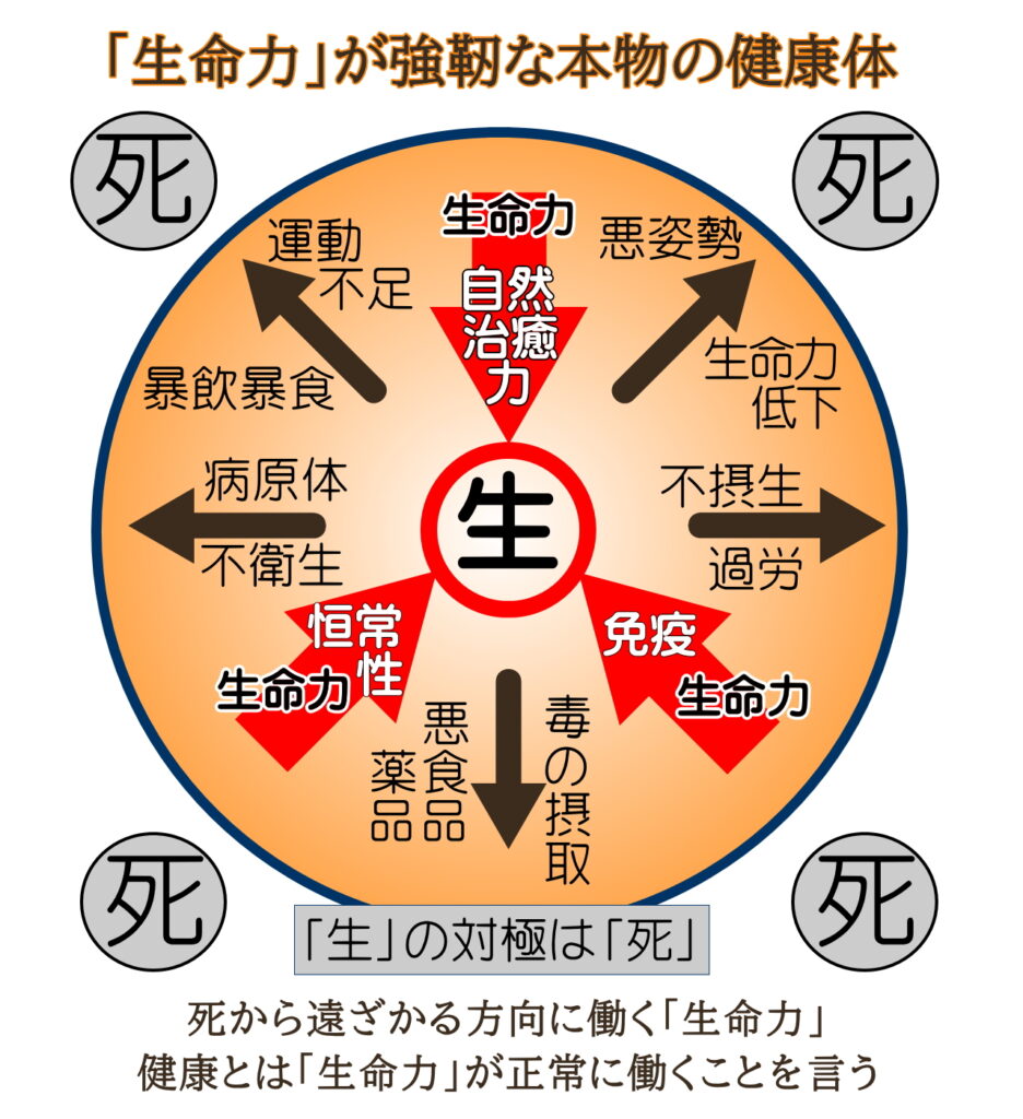 生命力と健康体