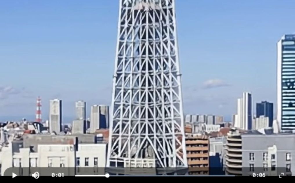 ザ・健康骨格